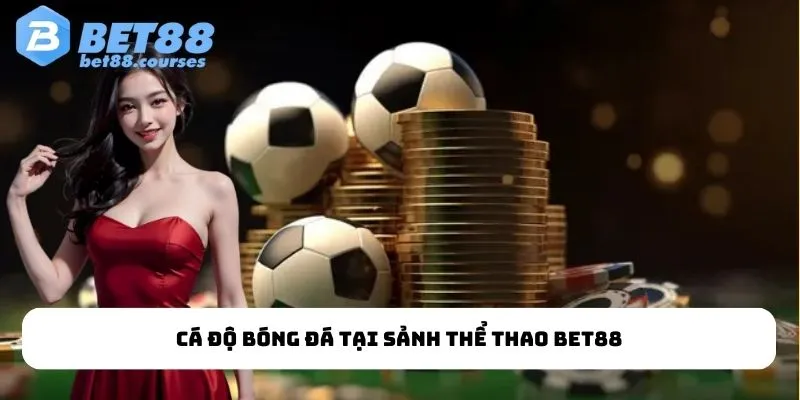 Cá độ bóng đá tại sảnh thể thao Bet88
